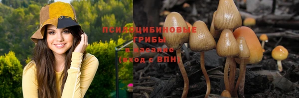 гашик Балабаново