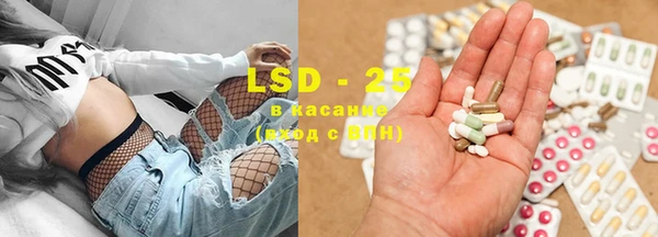 PSILOCYBIN Балахна