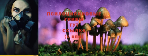 PSILOCYBIN Балахна