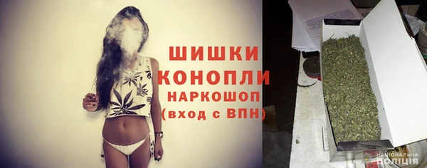 PSILOCYBIN Балахна