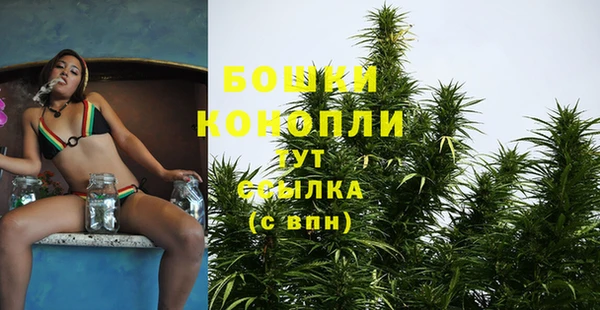 PSILOCYBIN Балахна