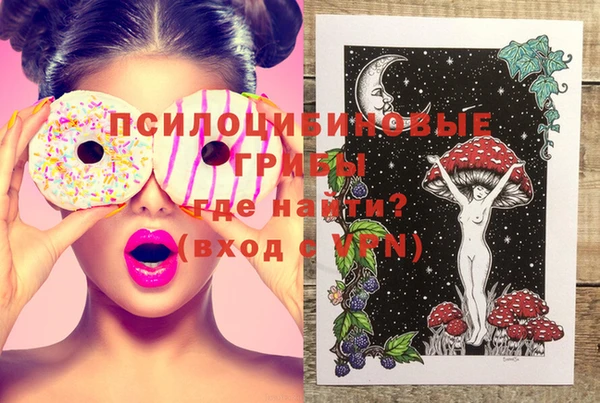 PSILOCYBIN Балахна