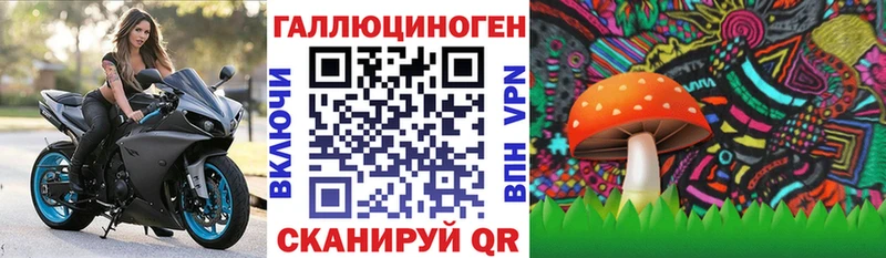 Галлюциногенные грибы Psilocybine cubensis  Макарьев 